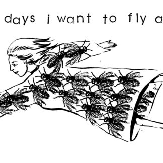 Some Days Fly Away